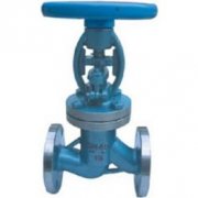 WJ41H波紋(wen)管截止閥